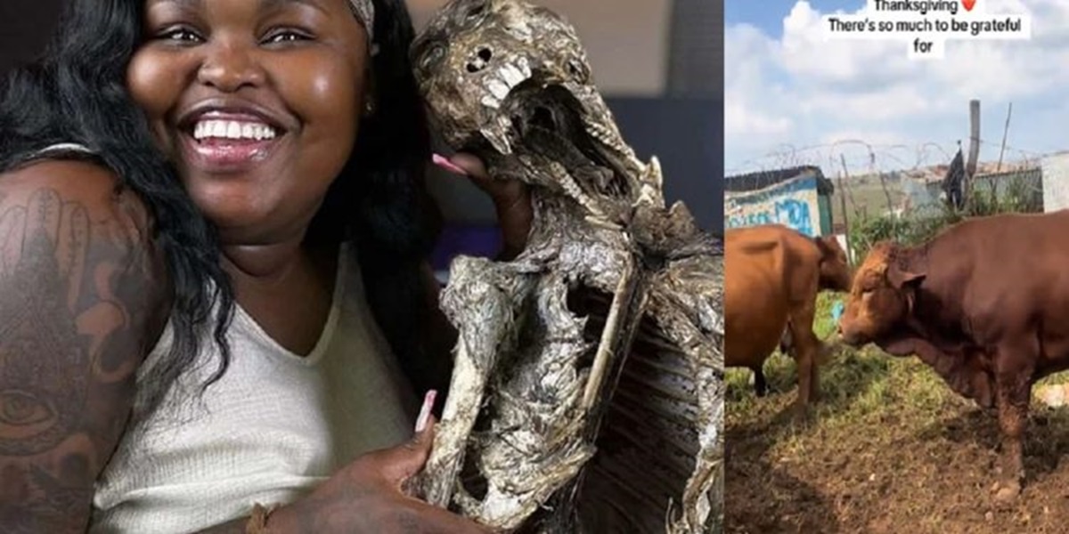 She's rich: watch Gogo Maweni show her cows (video)